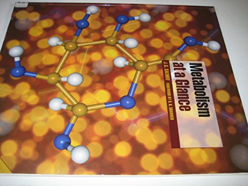 Metabolism at a Glance
