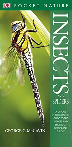Insects