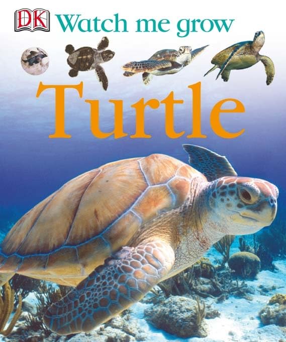 Turtle