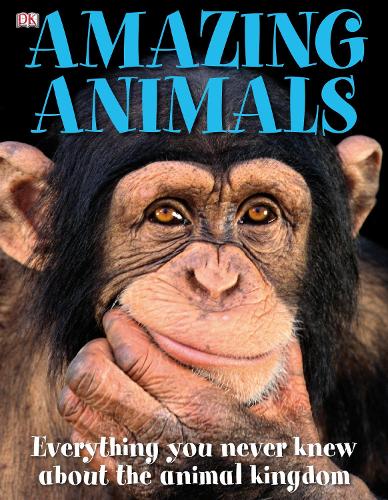 Amazing Animals