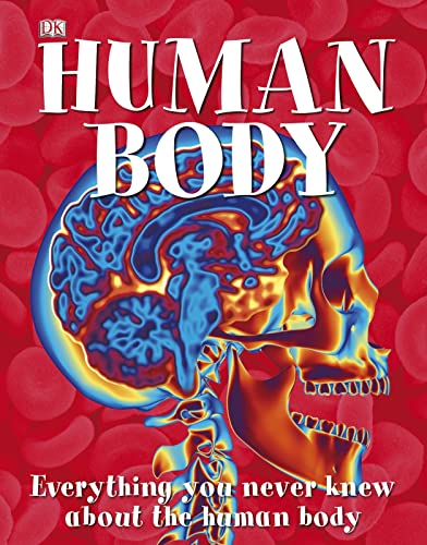 Amazing Human Body