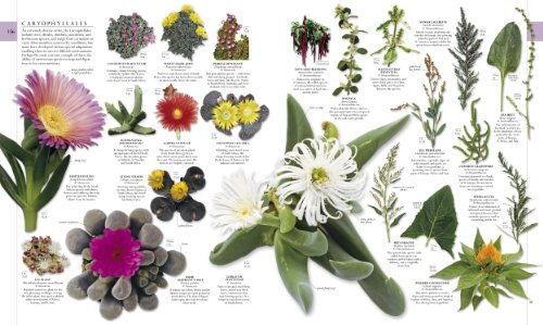 The Natural History Book