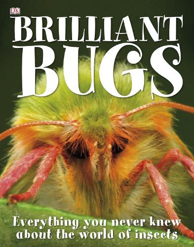 Brilliant Bugs
