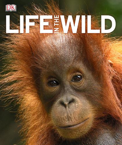 Life In The Wild
