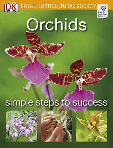 Orchids