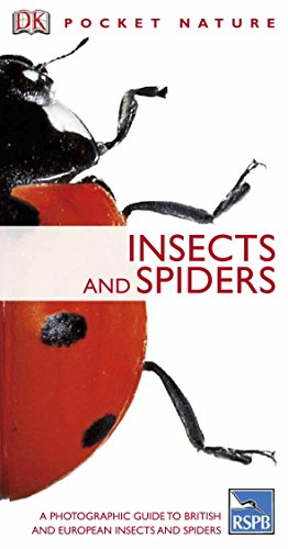 Insects and Spiders