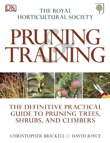 RHS Pruning and Training