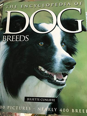 Dogs