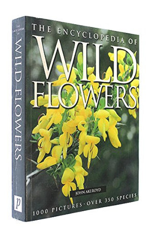 Wild Flowers