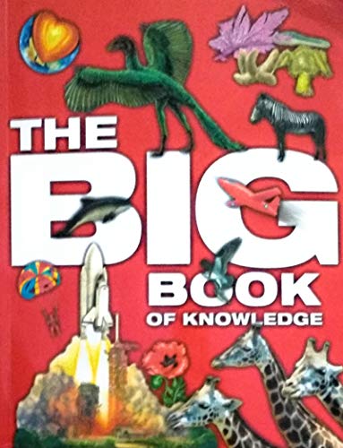 Big Book of Knowledge