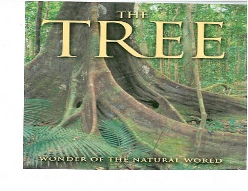 The Tree