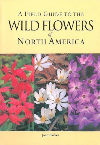 Wild Flowers