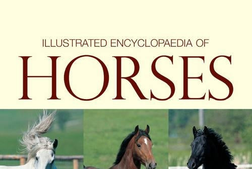 Illustrated Encyclopedia of Horses