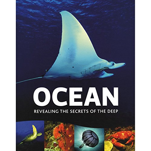 Ocean