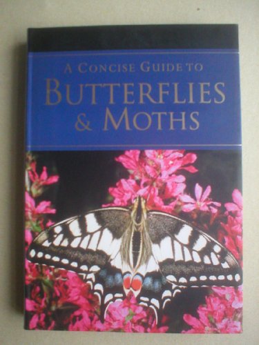 A Pocket Guide to Butterflies  Moths