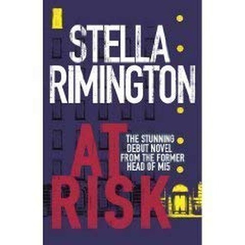 AT RISK [LARGE PRINT]
