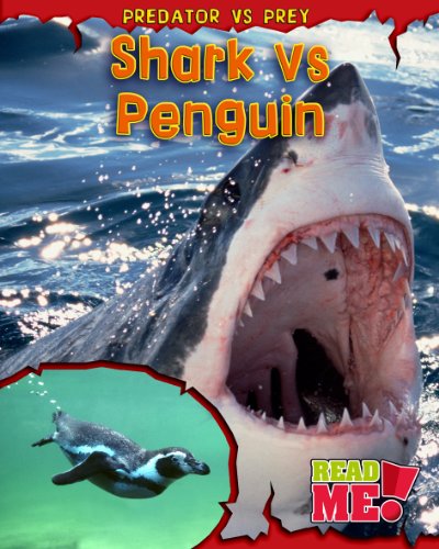 Shark vs Penguin
