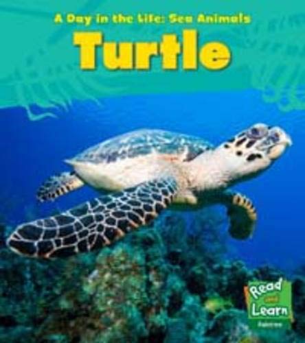 Sea Turtle