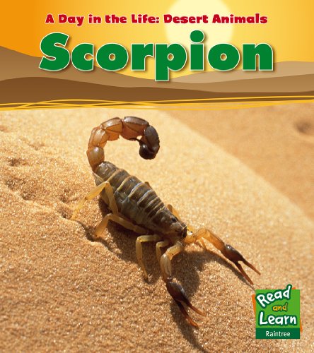 Scorpion