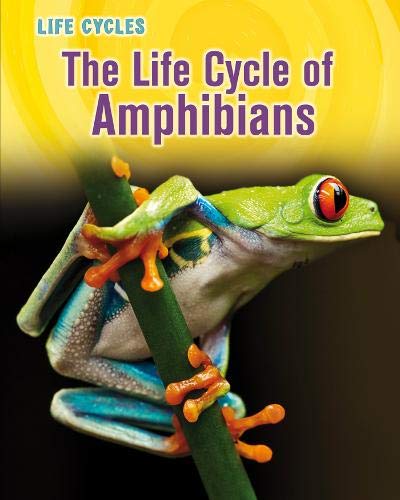 The Life Cycle of Amphibians