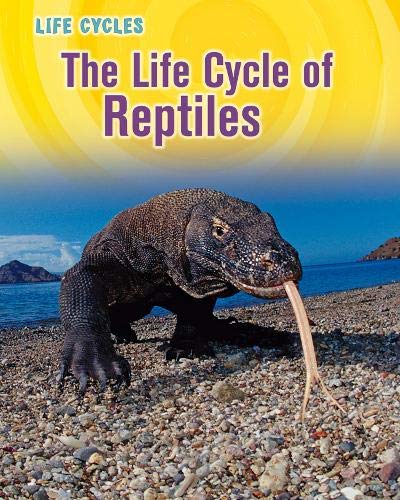 The Life Cycle of Reptiles