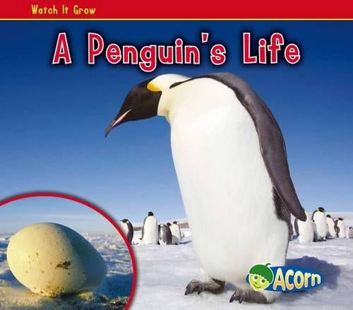 A Penguin's Life