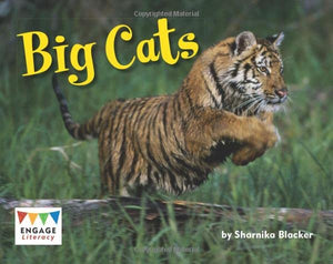 Big Cats 
