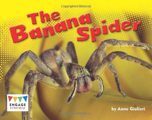 The Banana Spider