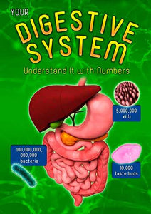 Your Digestive System 