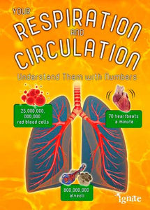 Your Respiration and Circulation 