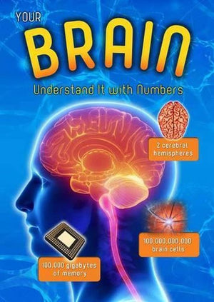 Your Brain