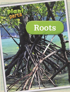 Roots 