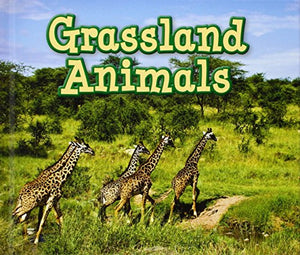 Grassland Animals 