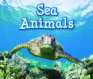 Sea Animals 
