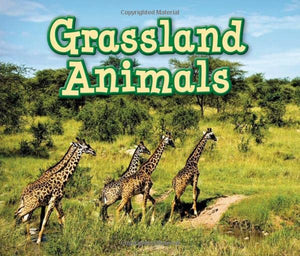 Grassland Animals 