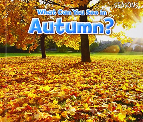 What Can You See In Autumn?