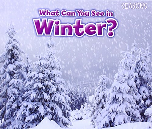 What Can You See In Winter?