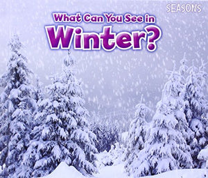 What Can You See In Winter? 