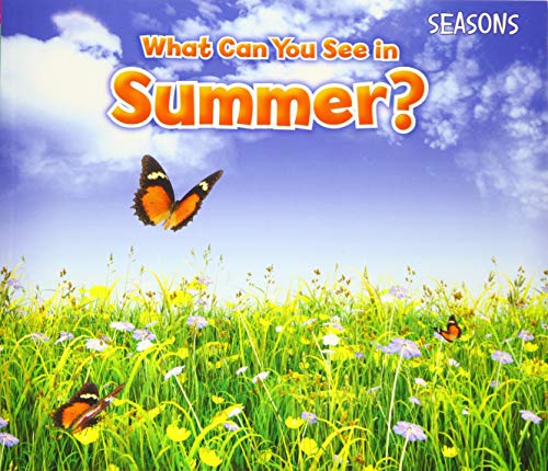 What Can You See In Summer?