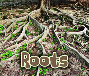 All About Roots 