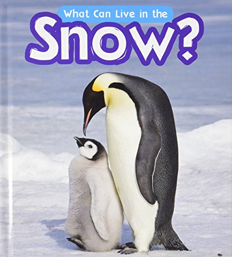 What Can Live in the Snow?