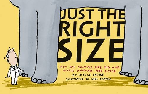 Just The Right Size