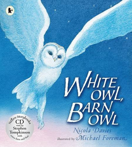 White Owl, Barn Owl