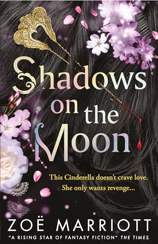 Shadows on the Moon