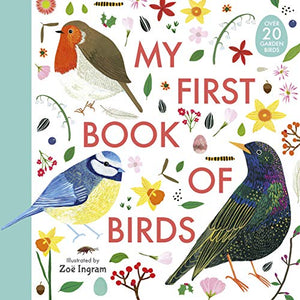 My First Book of Birds 