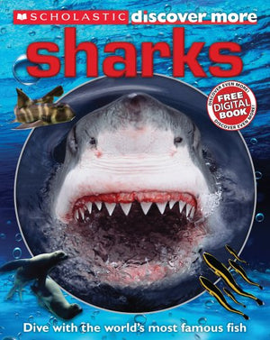Discover More: Sharks