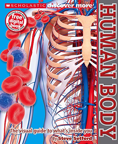 Human Body
