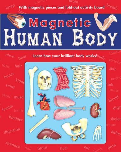 Human Body