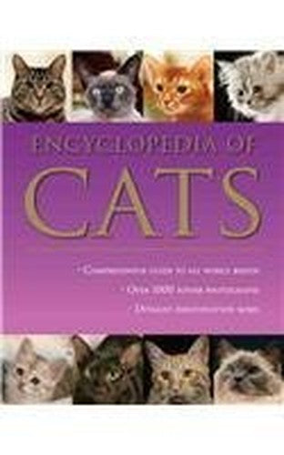 Cats