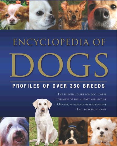Dogs